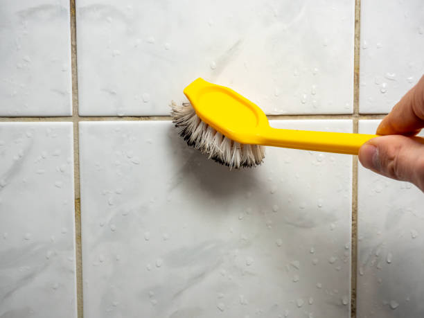 Best Affordable Mold Removal  in Portsmouth, OH