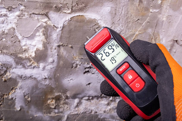 Best Residential Mold Removal  in Portsmouth, OH