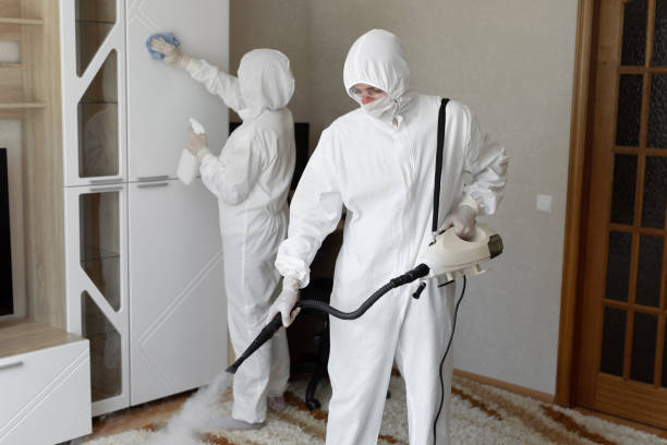 Mold Removal and Inspection in Portsmouth, OH