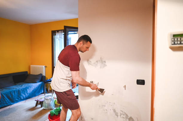 Best Local Mold Removal Service  in Portsmouth, OH