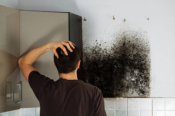 Best Office Mold Removal Services  in Portsmouth, OH